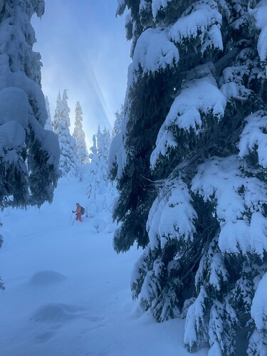 d170d0fc-84b3-4936-bf78-4da9c80a07c5