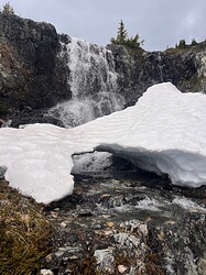 IMG_3007