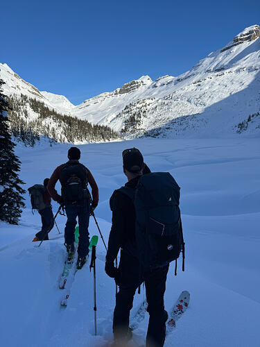 looking out at Alan Campbell and wetland