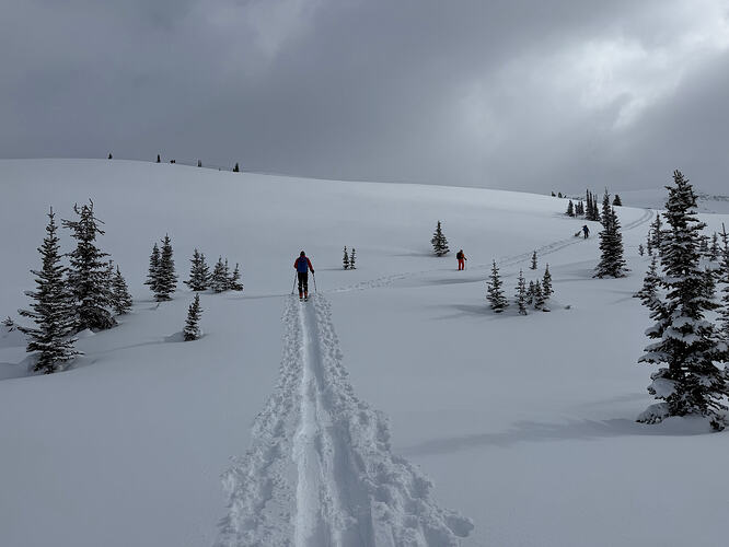 BF524DE3-4B42-450B-9D02-92CE142C1537