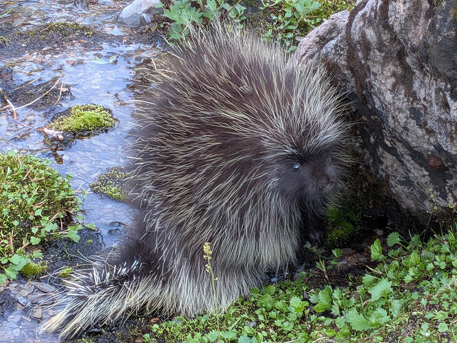 PXL_20250911_224409927