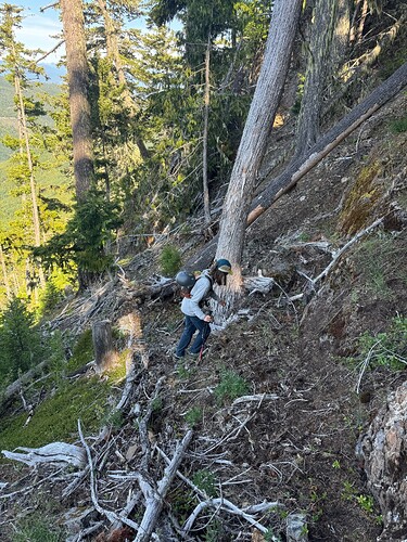 Approaching the top of the clearcut